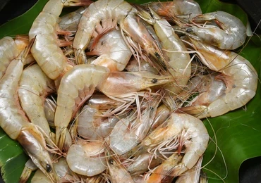 Konaseema River Prawns